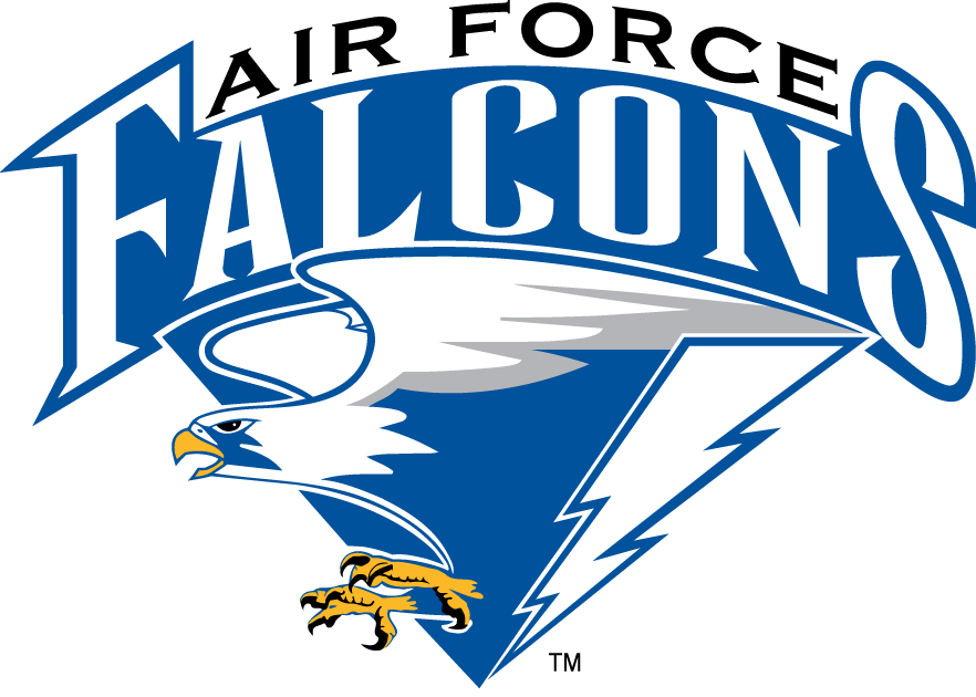 Air Force Falcons 1995-2003 Primary Logo t shirts DIY iron ons